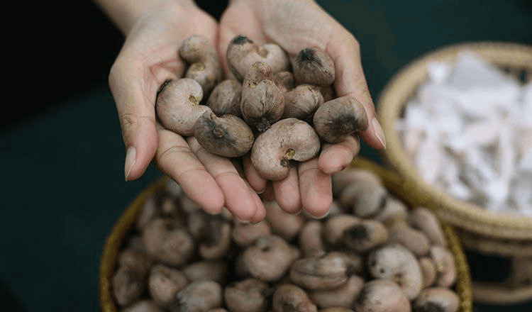 The Journey of Palm Fruit Powder: From Farm to Table with 