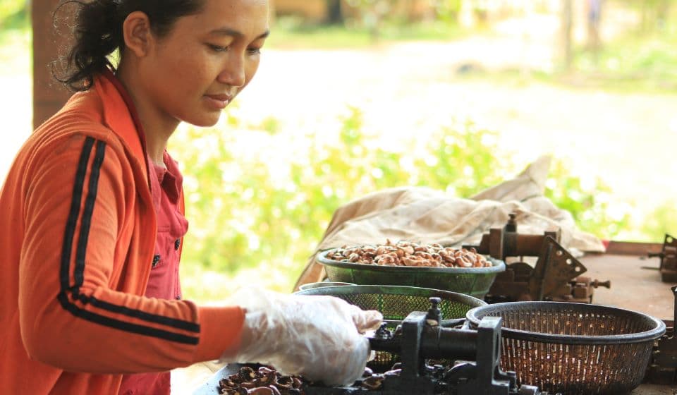 Sustainable Farming Practices